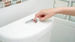 Do You Know Why Modern Toilets Have Two Flush Buttons?