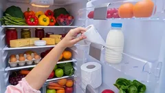 Why You Should Put a Roll of Toilet Paper in the Fridge — An Unusual Household Trick