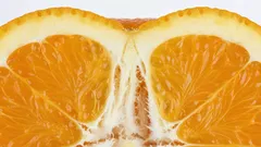 Few People Know: What the “White Part” of an Orange Is Called—and Why You Should Eat It