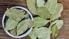 Why Do People Put a Bay Leaf in a Potted Houseplant?