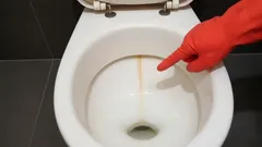 Everyone knows this yellow stripe, but not everyone knows a simple way to get rid of it.