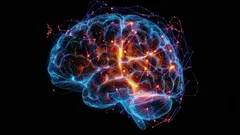 What Is Alzheimer’s Disease, and Why Does Our Memory Get Worse? A Scientific Explanation.