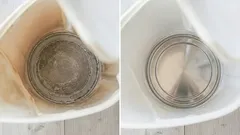 Your kettle will shine like new: How to remove limescale in minutes without chemicals
