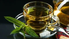 Why You Should Drink Green Tea in the Morning: What Nutritionists and Psychologists Say