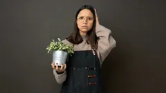 What’s Secretly Harming Your Plants: 7 Care Mistakes That Seem Harmless